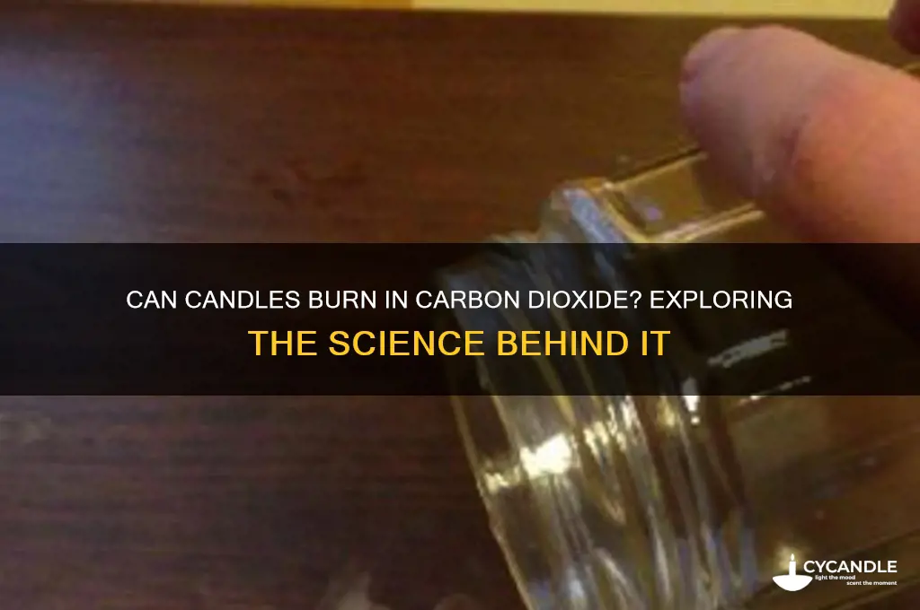 can a candle burn in carbon dioxide