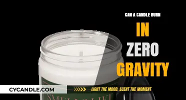Candle Flames in Zero Gravity: Science Behind the Burn