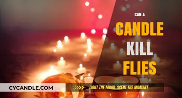 Candles and Flies: Unveiling the Truth Behind a Deadly Myth