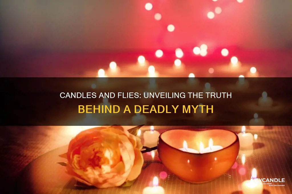 can a candle kill flies