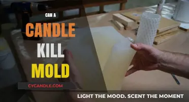 Can Candles Eliminate Mold? Uncovering the Truth and Myths