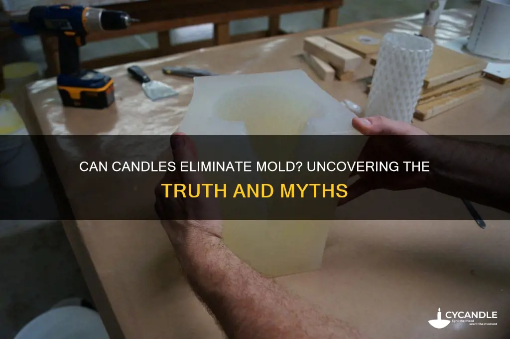 can a candle kill mold