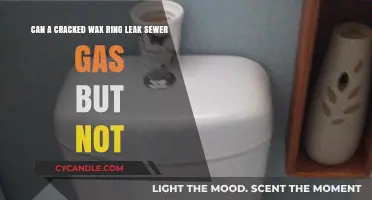 Cracked Wax Ring: Sewer Gas Leaks Without Water? Explained