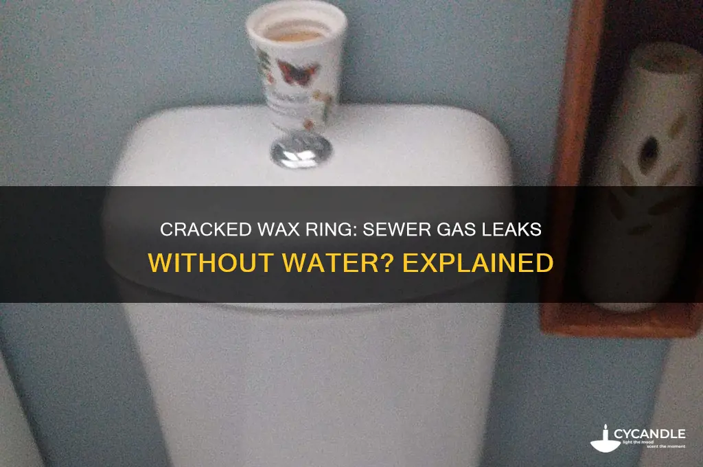 can a cracked wax ring leak sewer gas but not