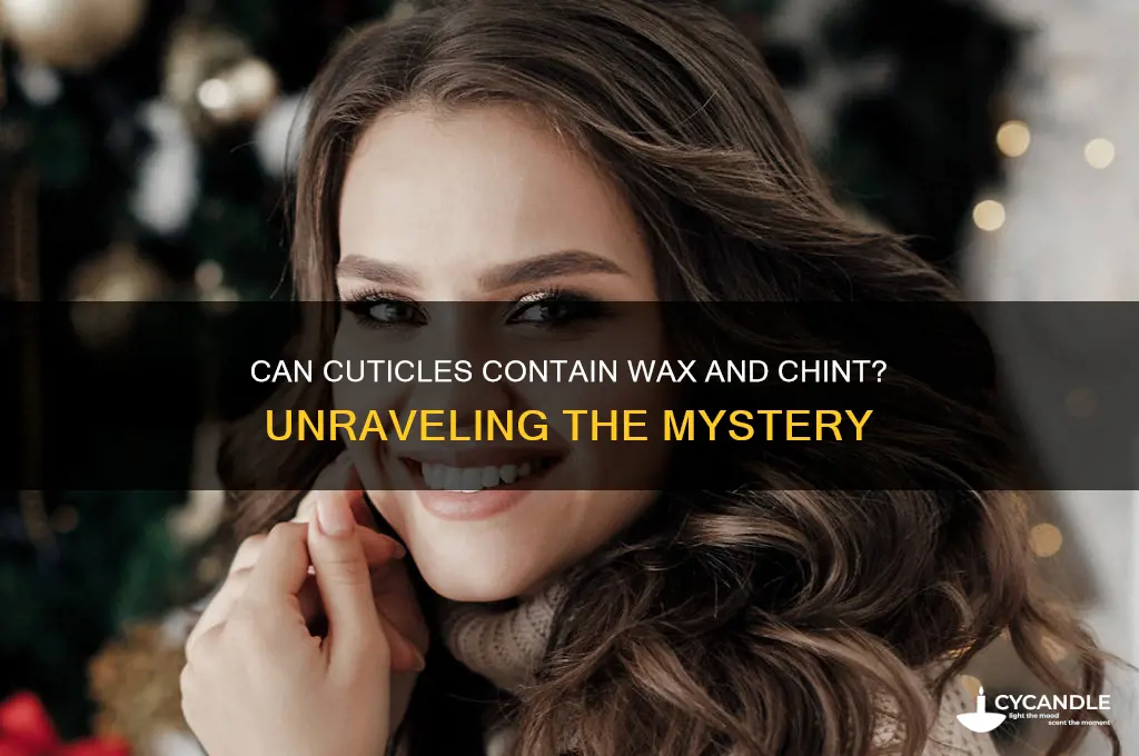 can a cuticle contain wax and chint