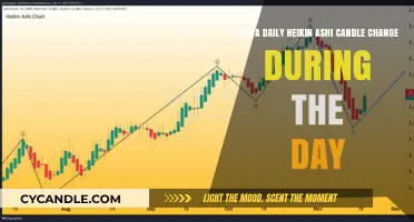 Can Daily Heikin Ashi Candles Change Intraday? Exploring the Dynamics
