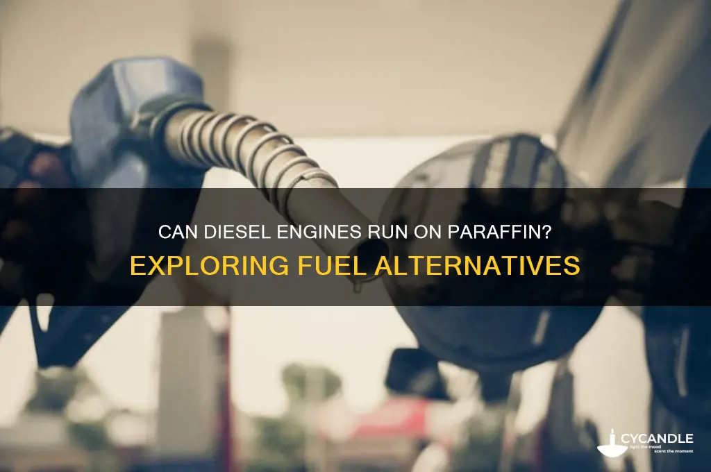 can a diesel engine run on paraffin
