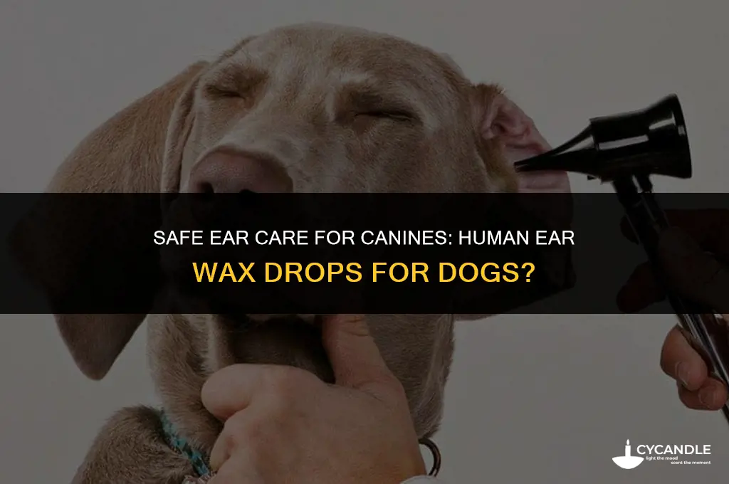 can a dog have human ear wax removal drops