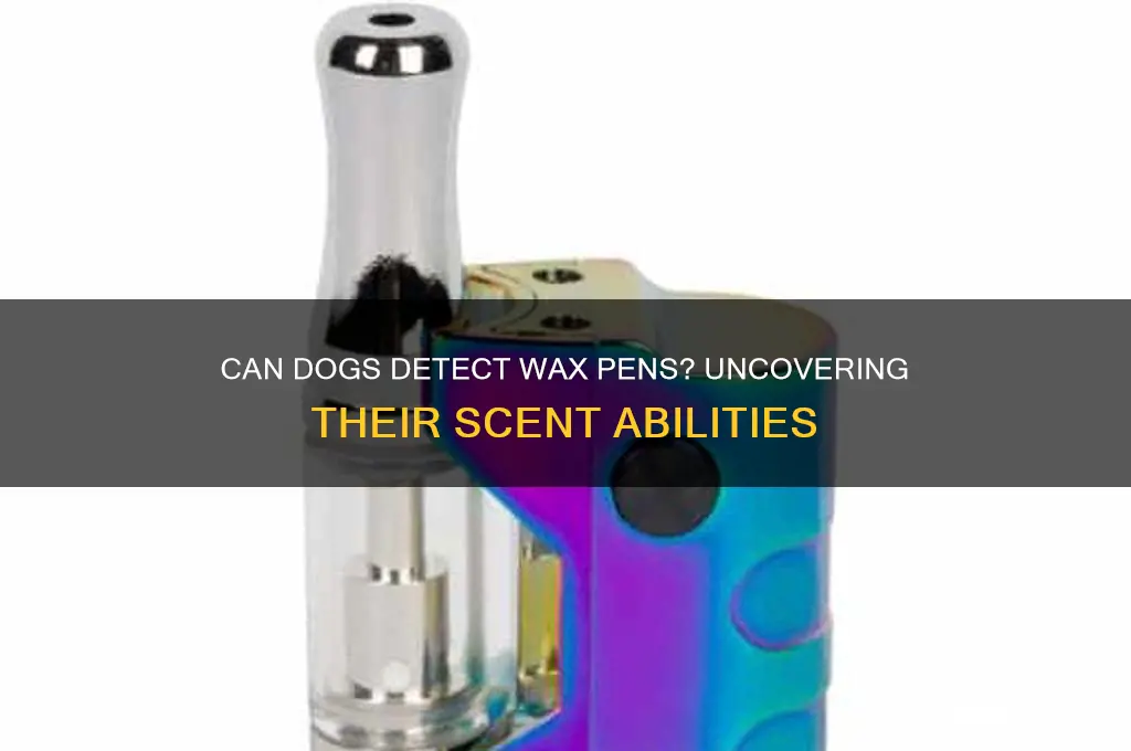can a dog smell a wax pen