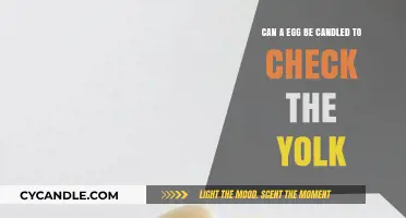 Candling Eggs: How to Check Yolk Development Safely and Easily