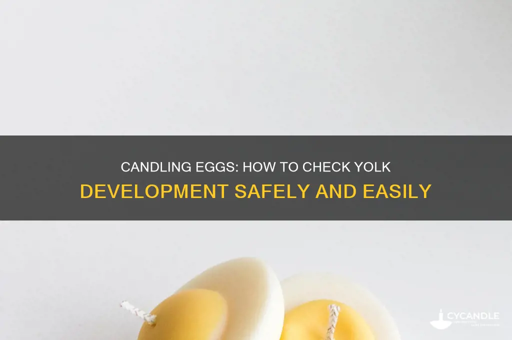 can a egg be candled to check the yolk