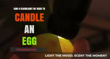 Using a Flashlight to Candle Eggs: A Practical Alternative?