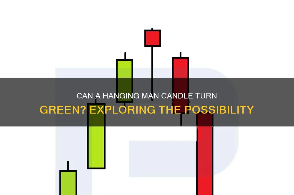 can a hanging man candle be green