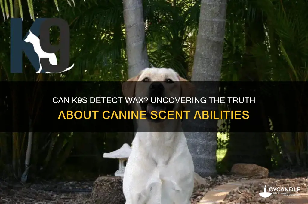 can a k9 smell wax