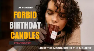 Can Landlords Ban Birthday Candles? Legal Insights for Renters