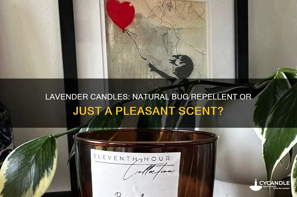 can a lavender candle repel bugs