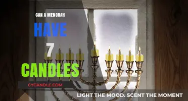 Understanding the Menorah: Can It Traditionally Hold Seven Candles?
