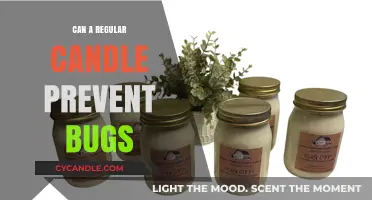 Can Regular Candles Keep Bugs Away? Exploring the Myth