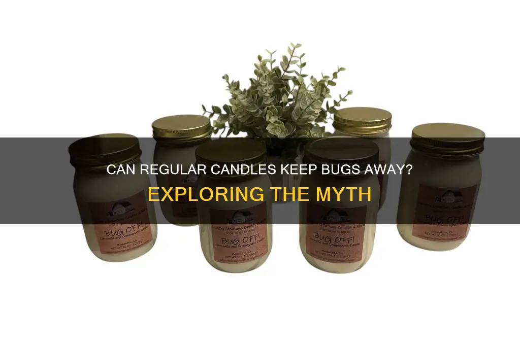 can a regular candle prevent bugs
