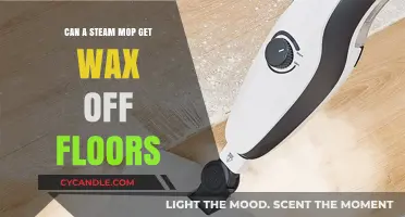 Removing Wax from Floors: Can a Steam Mop Do the Job?