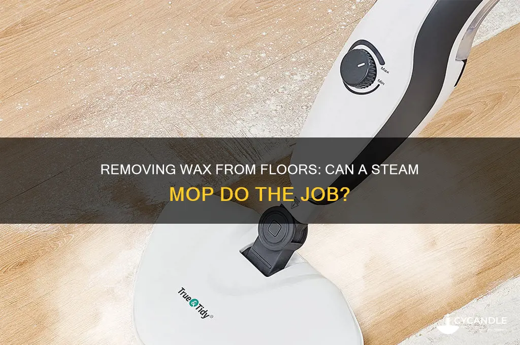 can a steam mop get wax off floors