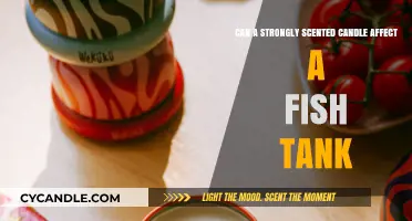 Strong Scents and Fish Tanks: Potential Risks of Scented Candles
