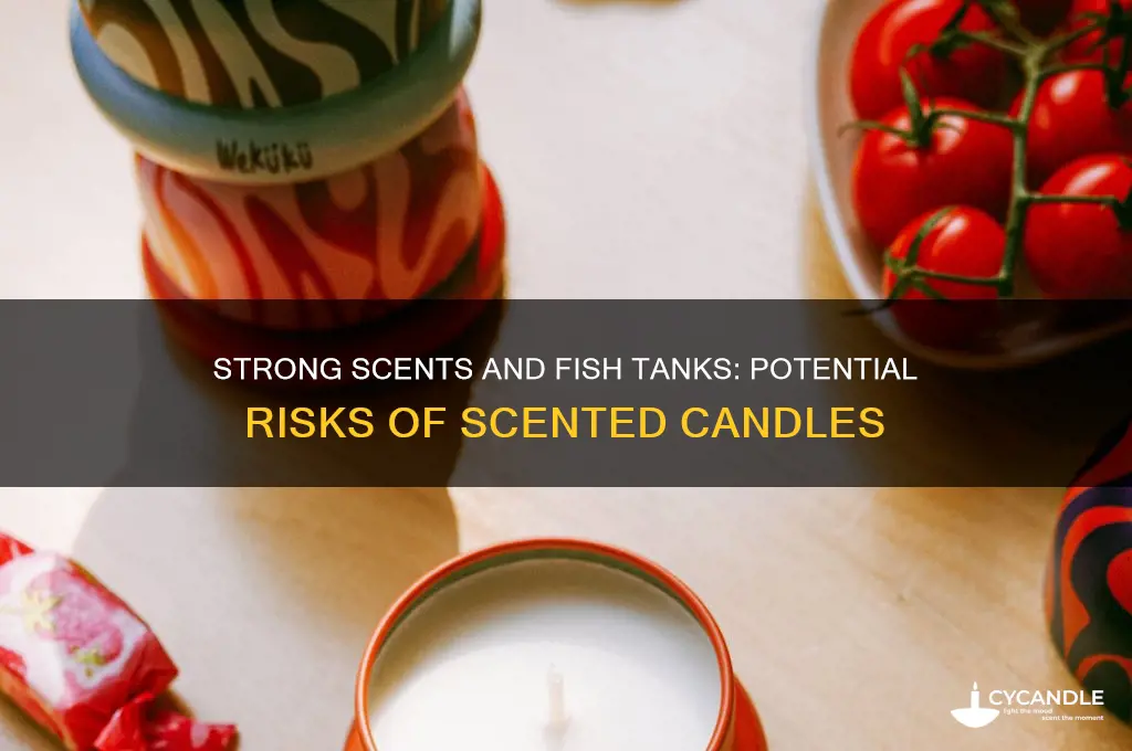 can a strongly scented candle affect a fish tank