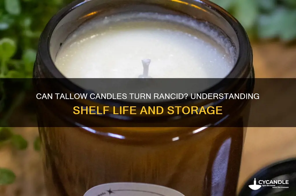 can a tallow candle go rancid