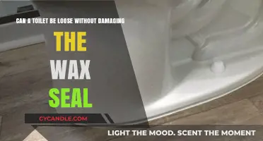 Loose Toilet, Intact Wax Seal: Is It Possible?