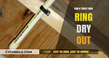 Can Toilet Wax Rings Dry Out? Causes and Prevention Tips