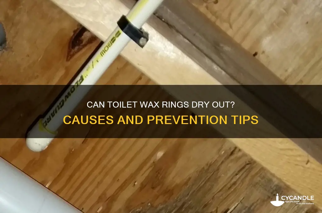 can a toilet wax ring dry out