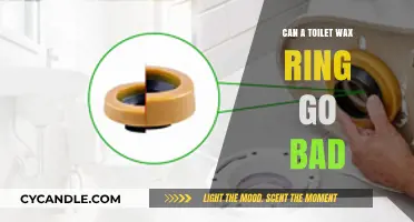 The Unseen Culprit: How a Worn-Out Toilet Wax Ring Can Cause Havoc