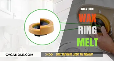 The Surprising Truth About Toilet Wax Rings Melting