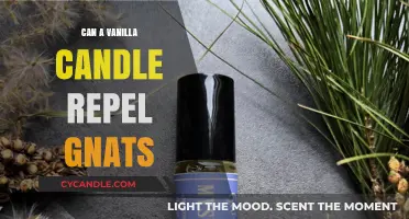 Vanilla Candles and Gnats: Effective Repellent or Just a Myth?
