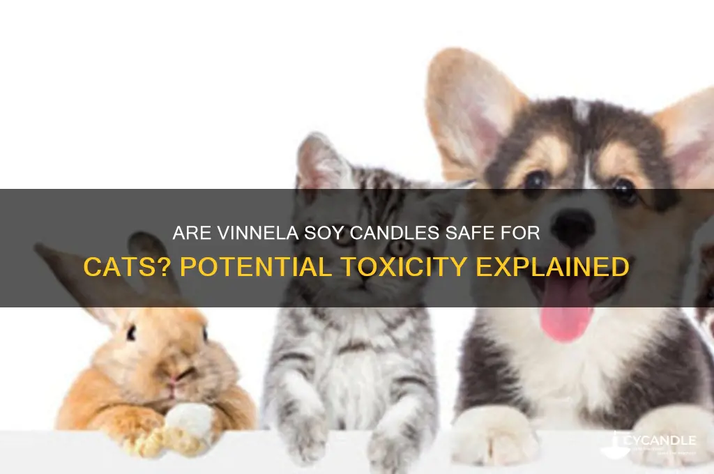 can a vinnela soy candle be toxic to cats