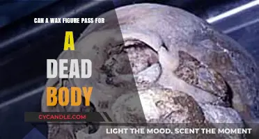 Wax Figures vs. Dead Bodies: Can They Fool the Eye?