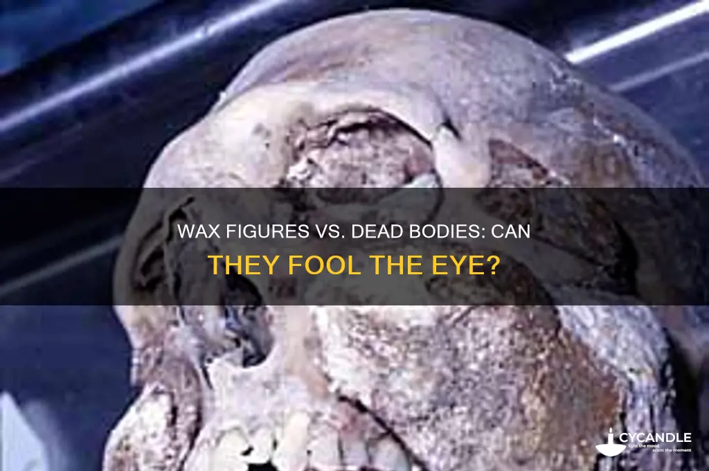 can a wax figure pass for a dead body