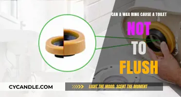 The Surprising Culprit: How a Wax Ring Can Impact Your Toilet's Flush