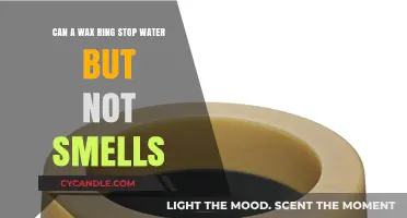 Wax Ring Efficiency: Blocking Water vs. Preventing Odors in Toilets