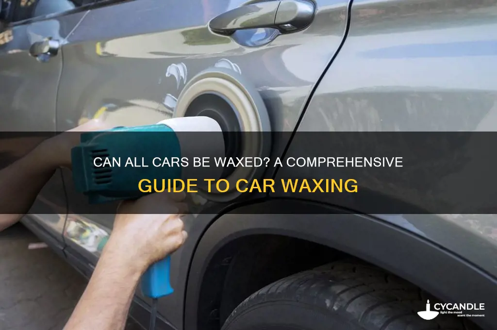 can all cars be waxed