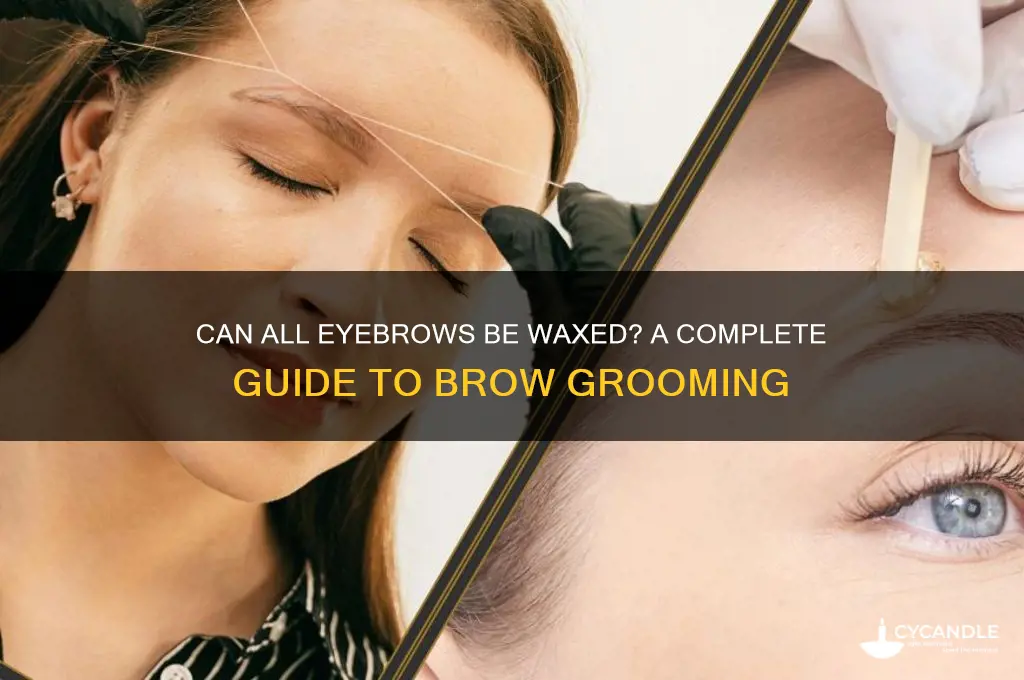 can all eyebroes get waxed