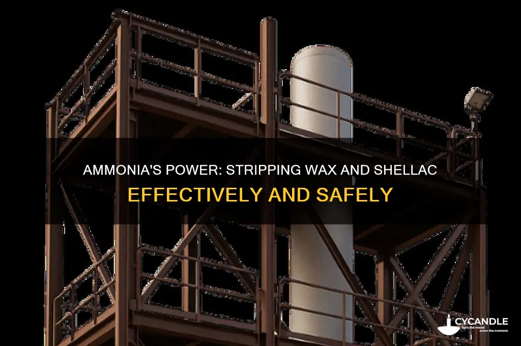 can ammonia strip wax and shellac