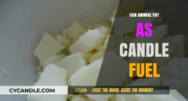 Animal Fat as Candle Fuel: Eco-Friendly Alternative or Waxy Myth?