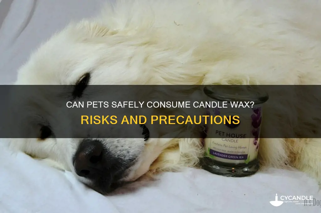 can animals eat candle wax