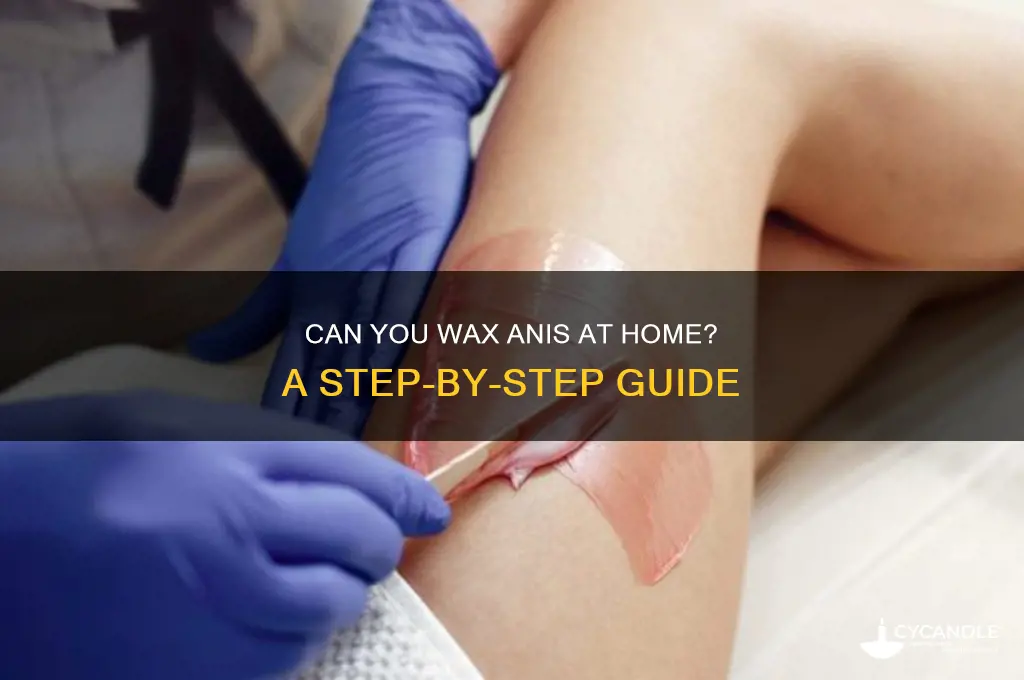 can anis be waxed at home