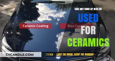 Exploring Wax Types: Which Ones Work Best for Ceramic Projects?