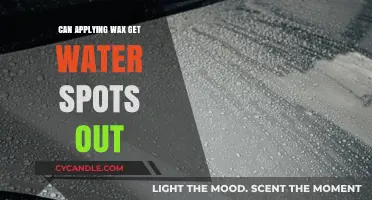 Can Wax Remove Water Spots? Debunking Car Detailing Myths