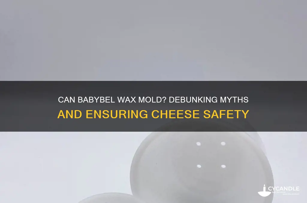 can babybel wax get moldy