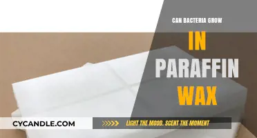 Can Bacteria Thrive in Paraffin Wax? Exploring Microbial Survival