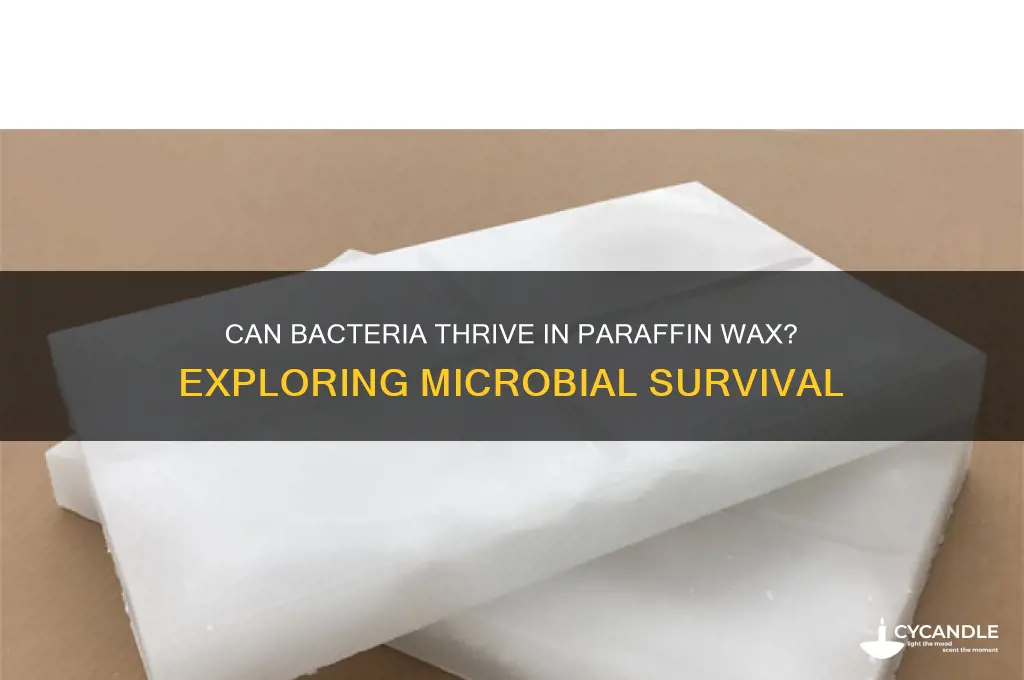 can bacteria grow in paraffin wax